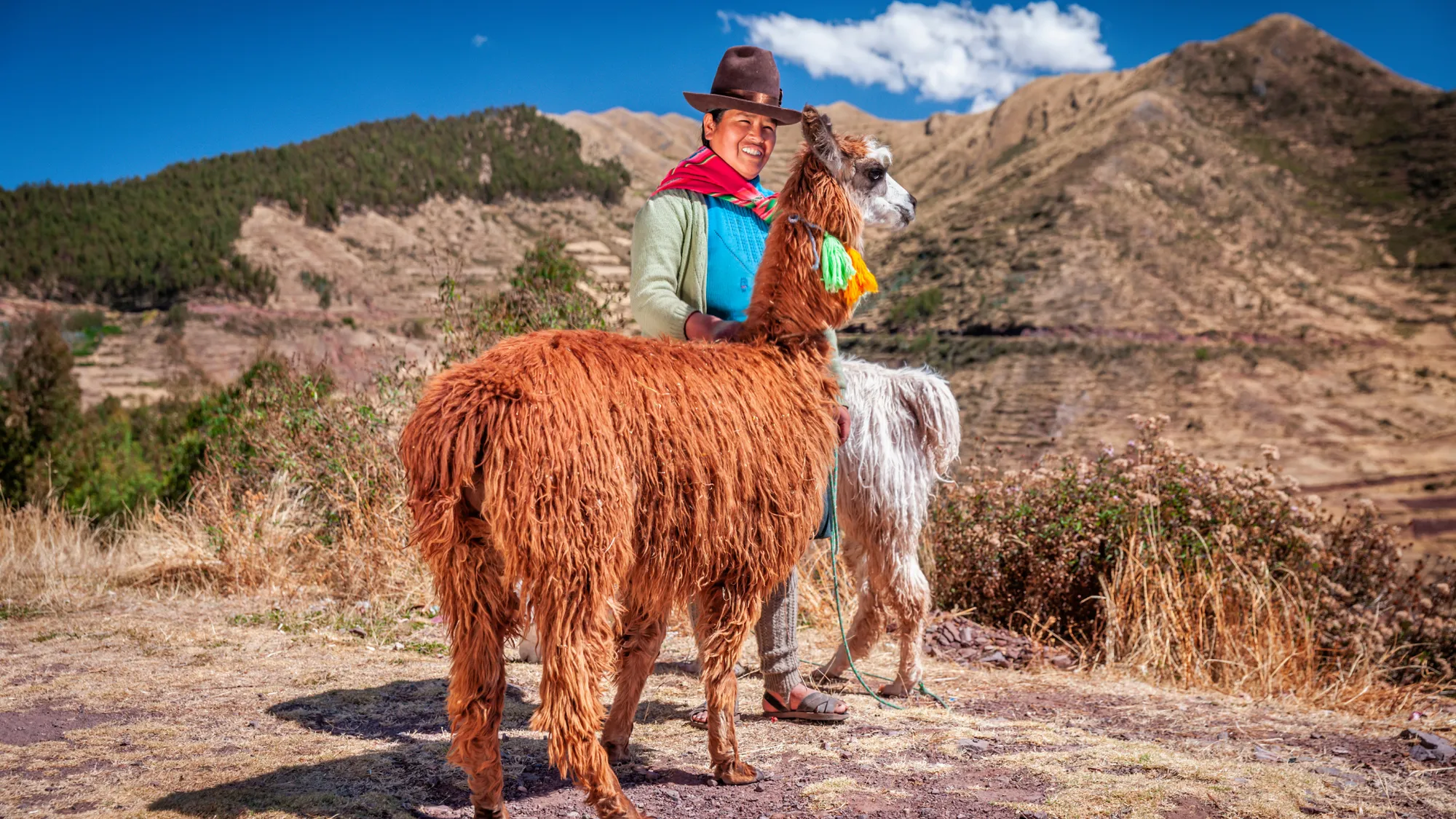 Muyundi Travel 2023, tourism company in Perú. Discover the magic of Peru. Immerse yourself in the Amazon jungle, contemplate the majestic Andes and let yourself be carried away by the history of the ancient Incas. Muyundi Travel invites you to explore every corner, so that your trip is unforgettable.