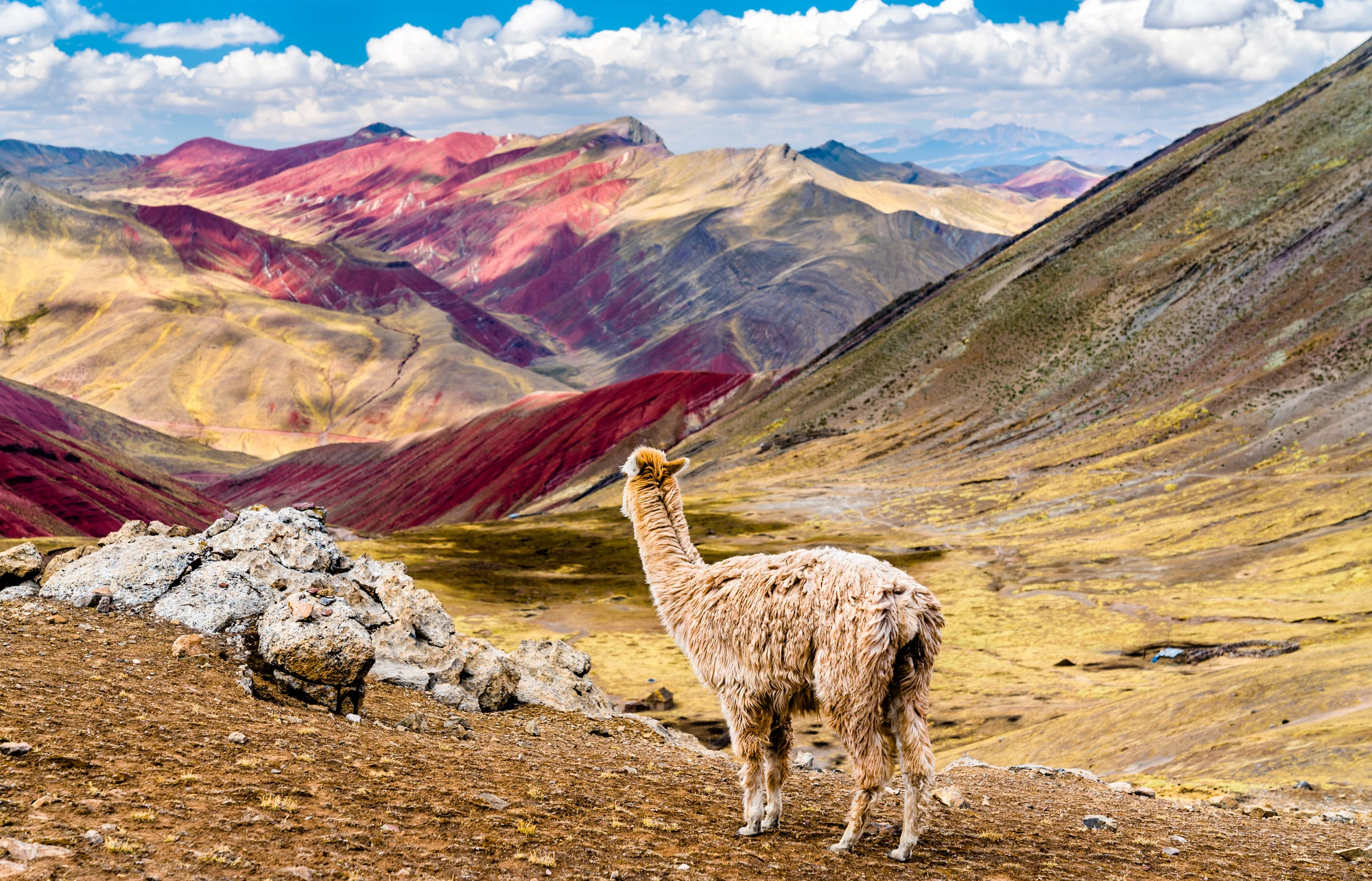 Muyundi Travel 2023, tourism company in Perú. Discover the magic of Peru. Immerse yourself in the Amazon jungle, contemplate the majestic Andes and let yourself be carried away by the history of the ancient Incas. Muyundi Travel invites you to explore every corner, so that your trip is unforgettable.