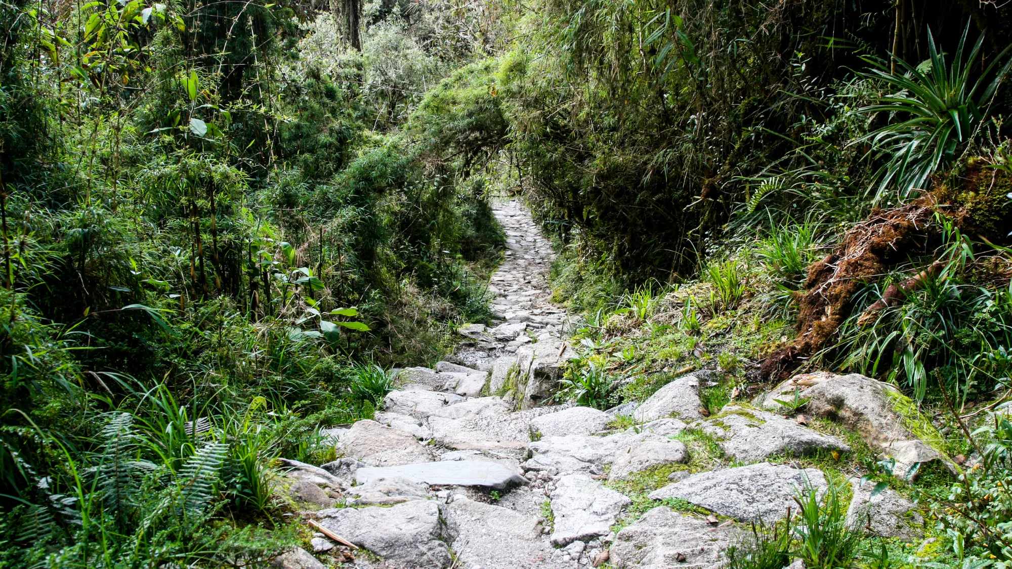 THE TRADITIONS OF SACRED VALLEY AND LAKE TITICACA  - You will tour Peru and the Southern Andes as part of our Cusco and Puno program. This Peruvian vacation will begin in Lima, the vibrant capital and 