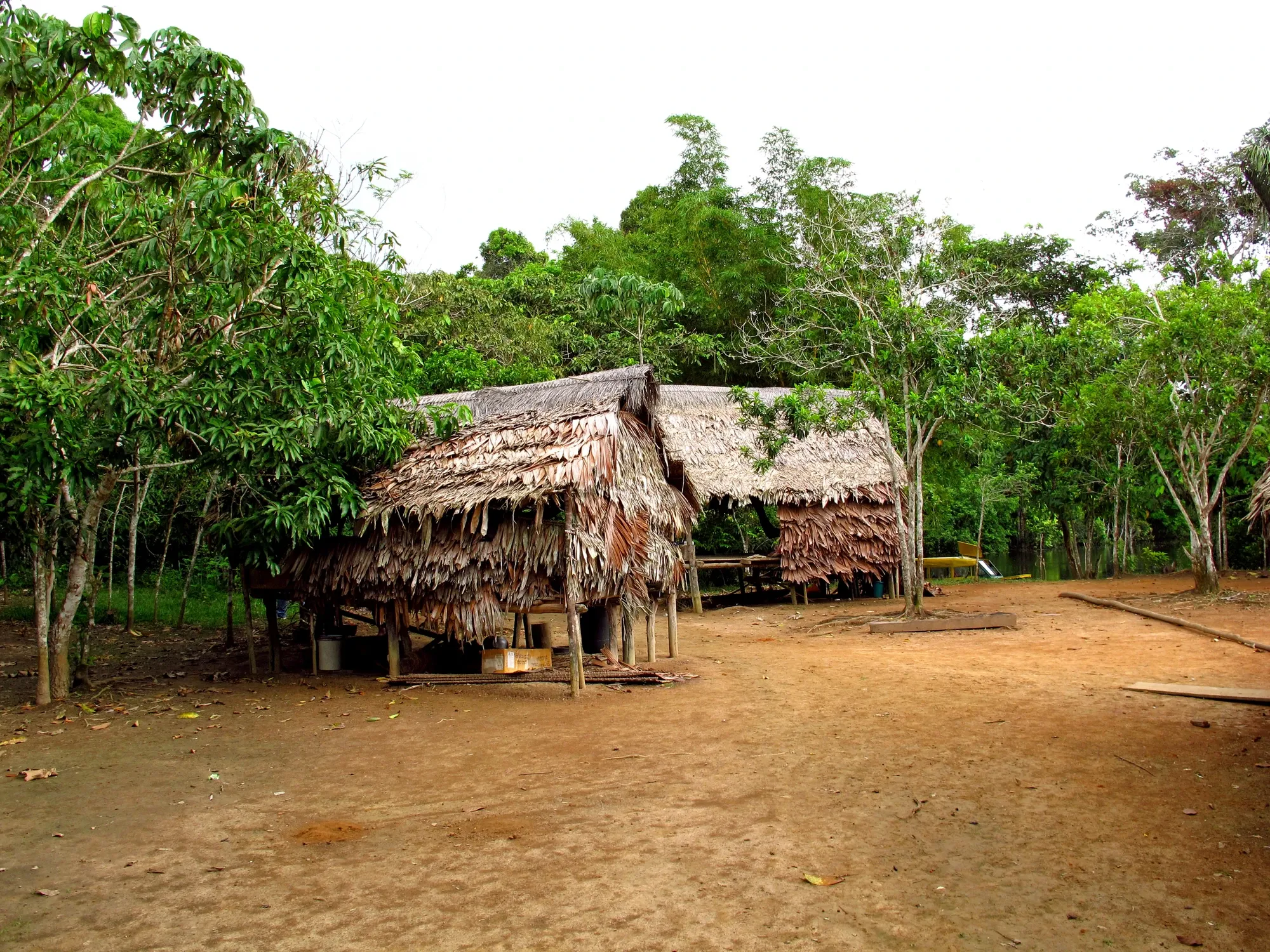 Muyundi Travel 2023, tourism company in Perú. Discover the magic of Peru. Immerse yourself in the Amazon jungle, contemplate the majestic Andes and let yourself be carried away by the history of the ancient Incas. Muyundi Travel invites you to explore every corner, so that your trip is unforgettable.