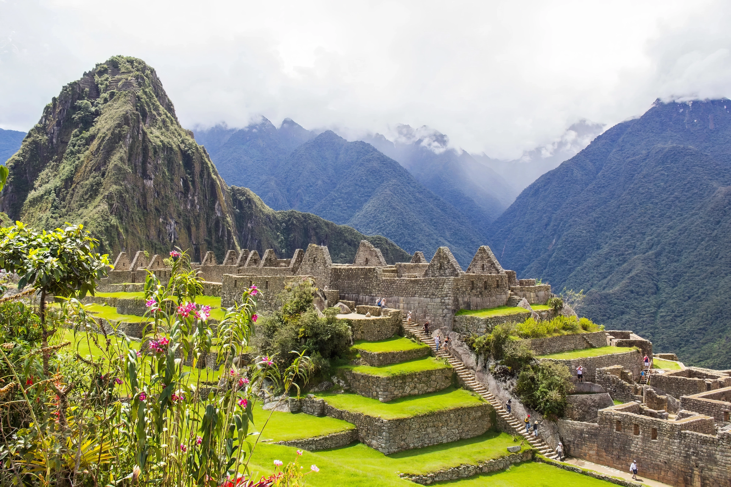 Machu Picchu is located at the top of a mountain in the Urubamba River Valley at 2360 m.s.n.m, surrounded by the mountains of Machu picchu and Huayna Picchu, is currently named one of the 7 wonders of the modern world. It is considered the main tourist destination of Peru and a UNESCO World Heritage Site.
                                                                                                                                                                                                                                                                                                                                                                                                                                                                 It is the most outstanding Inca archaeological site due to its creative urban design, the beauty of its architecture and the fine stonework of its constructions. In its planning, the topography of the top of the mountain was notably utilized, which it transformed into an imposing lagoon, which is surrounded by temples, slopes and water channels.
                                                                                                                                                                                                                                                                                                                                                                                                                                                     We can say that it is probably the most impressive architectural construction of the Inca Empire in its apogee of Inca Pachacuteq characterized by coming to develop the expansion of the territory of the Tahuantinsuyo with the conquest of various lands and villages. Among its realization of Machupicchu stands the building of its walls, terraces and giant ramps give the impression of being carved in the scarcities of the rocks of the place. Its construction was carried out with large blocks of stone joined together, with a perfect symmetry.