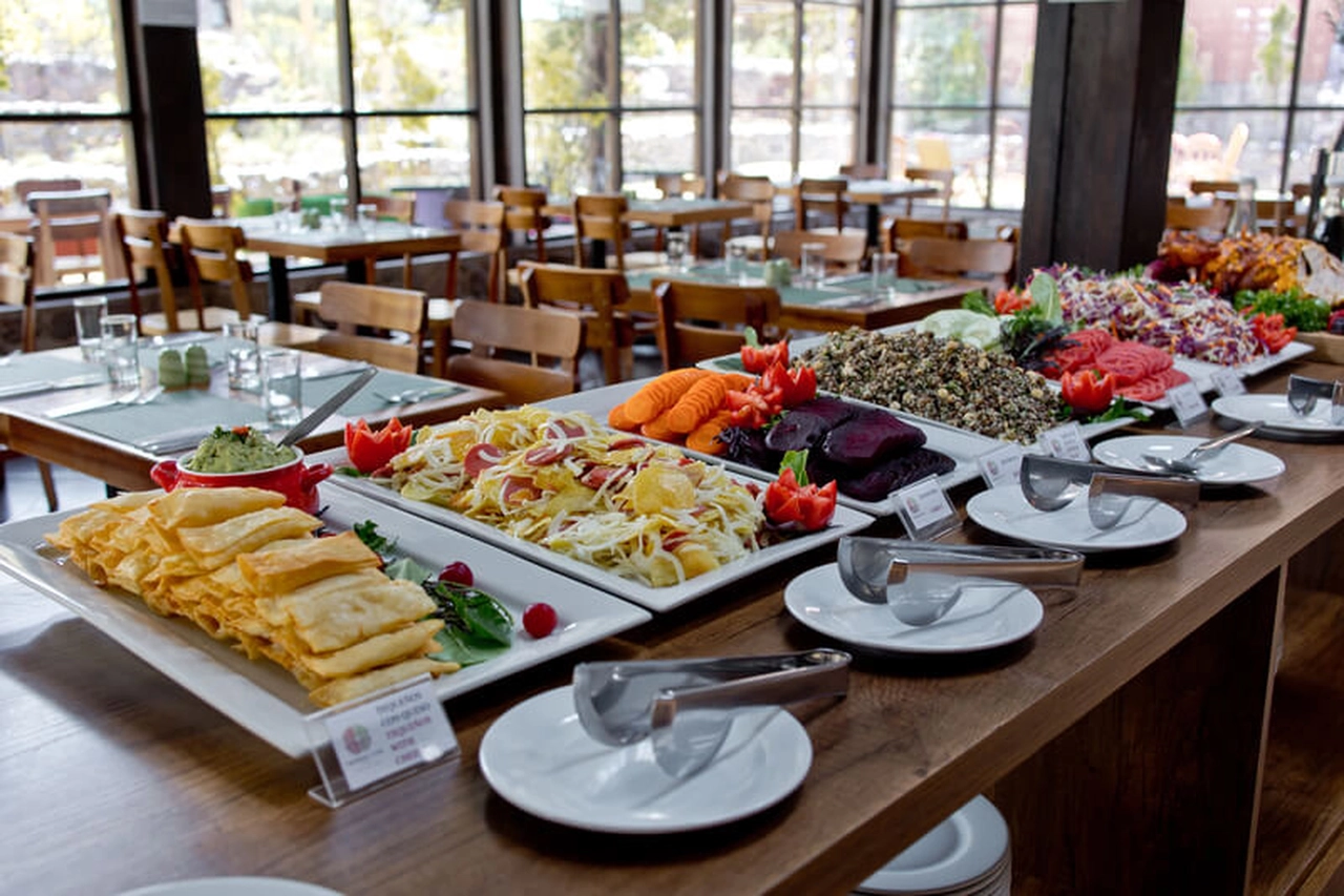 Alive earth - We have 36 large rooms, including some relatives who can accommodate up to 4 people. Within the hotel you can enjoy its green areas, the delicious food of the Suno restaurant that offers buffet breakfast, buffet lunch or the letter, and for dinner we have a very varied letter for all tastes.