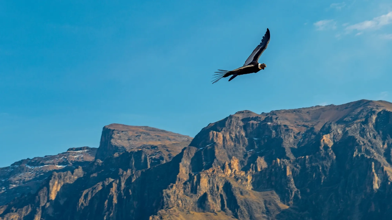 Muyundi Travel 2023, tourism company in Perú. Discover the magic of Peru. Immerse yourself in the Amazon jungle, contemplate the majestic Andes and let yourself be carried away by the history of the ancient Incas. Muyundi Travel invites you to explore every corner, so that your trip is unforgettable.