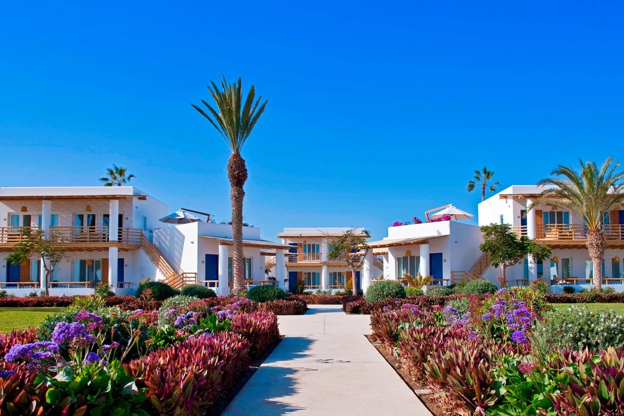 Paracas to Luxury Collection Resort - Our beach resort offers first level facilities, private dock, the only luxury spa in the city, exquisite local and international cuisine and exciting experiences that will allow you to be in contact with nature.