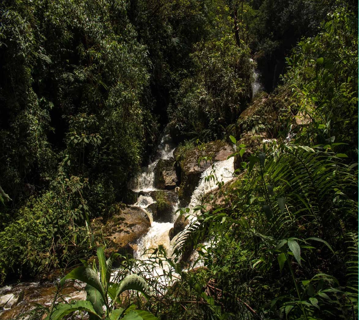 Jaya Suite Machupicchu Hotel is a lovely place that will make your visit to the magic city of Machu Picchu unforgettable. We are committed to helping our bones to have a unique experience