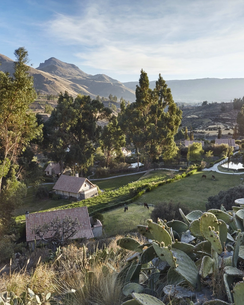 Las Casitas, to Belmond Hotel - The houses is at a short distance from one of the deepest cannons in the world, nestled in the middle of a unique flora and fauna. Here, a sense of serenity prevails, which surrounds it after the exploration of the day with impressive landscapes and an innate feeling of peace