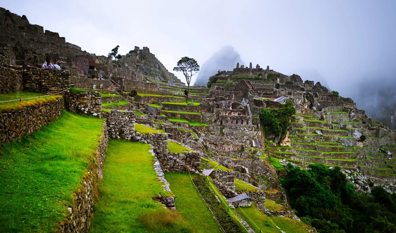This Tambopata Peru itinerary provides Peruvian adventurers with a truly spectacular cultural vacation. We will start your Peru vacation with a sightseeing tour of Lima's major attractions. We will continue our tour to Cusco, where you can view stone Incan architecture and cobblestone lanes that connect the city's places to colonial houses. Afterwards, we will visit the Sacred Valley of the Incas, where we will see a number of Incan sanctuaries and fortifications, as well as several charming settlements. Machu Picchu is likely to be a highlight of many tourists' holidays. The nicest part of our Machu Picchu tour is that we will be accompanied by a private, expert guide. Following our visit to Machu Picchu, our journey will lead us to the forest, where we will experience a spectacular display of fauna and stunning scenery that only Peru and the Tambopata jungle can deliver.