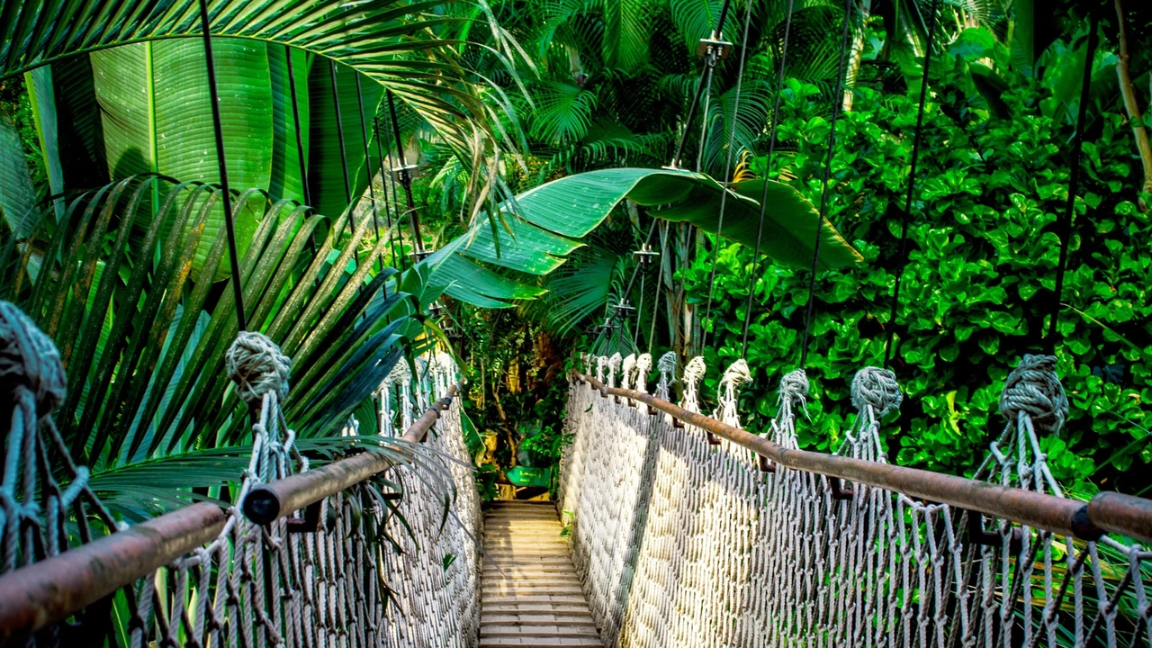 A complete circuit, discovering the biodiversity of southern Peru and knowing the daily life of the inhabitants of the southern regions of Peru.The three great regions of the country are in the program: the Coast, the Sierra and the Jungle. In addition to discovering the natural wealth, the ancient culture of Peru, we will also have the opportunity to share the experience with local families.
