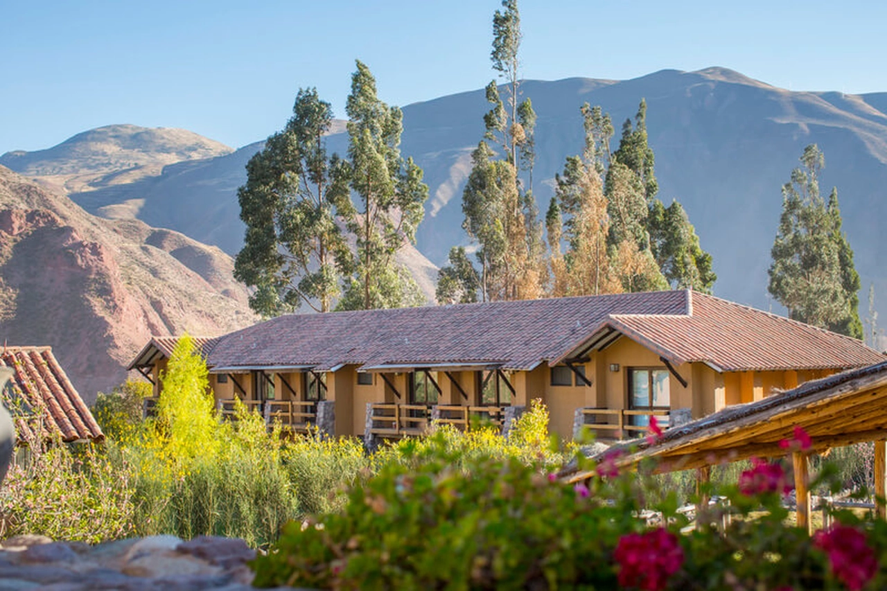 Alive earth - We have 36 large rooms, including some relatives who can accommodate up to 4 people. Within the hotel you can enjoy its green areas, the delicious food of the Suno restaurant that offers buffet breakfast, buffet lunch or the letter, and for dinner we have a very varied letter for all tastes.